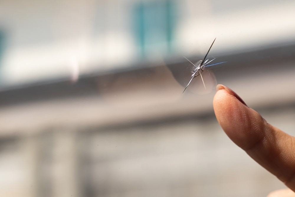 Women pointing out windshield crack. Photo ID 203878705 © Yuwarin Thititanamethikorn | Dreamstime.com