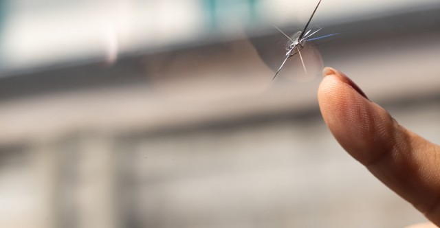 Women pointing out windshield crack. Photo ID 203878705 © Yuwarin Thititanamethikorn | Dreamstime.com